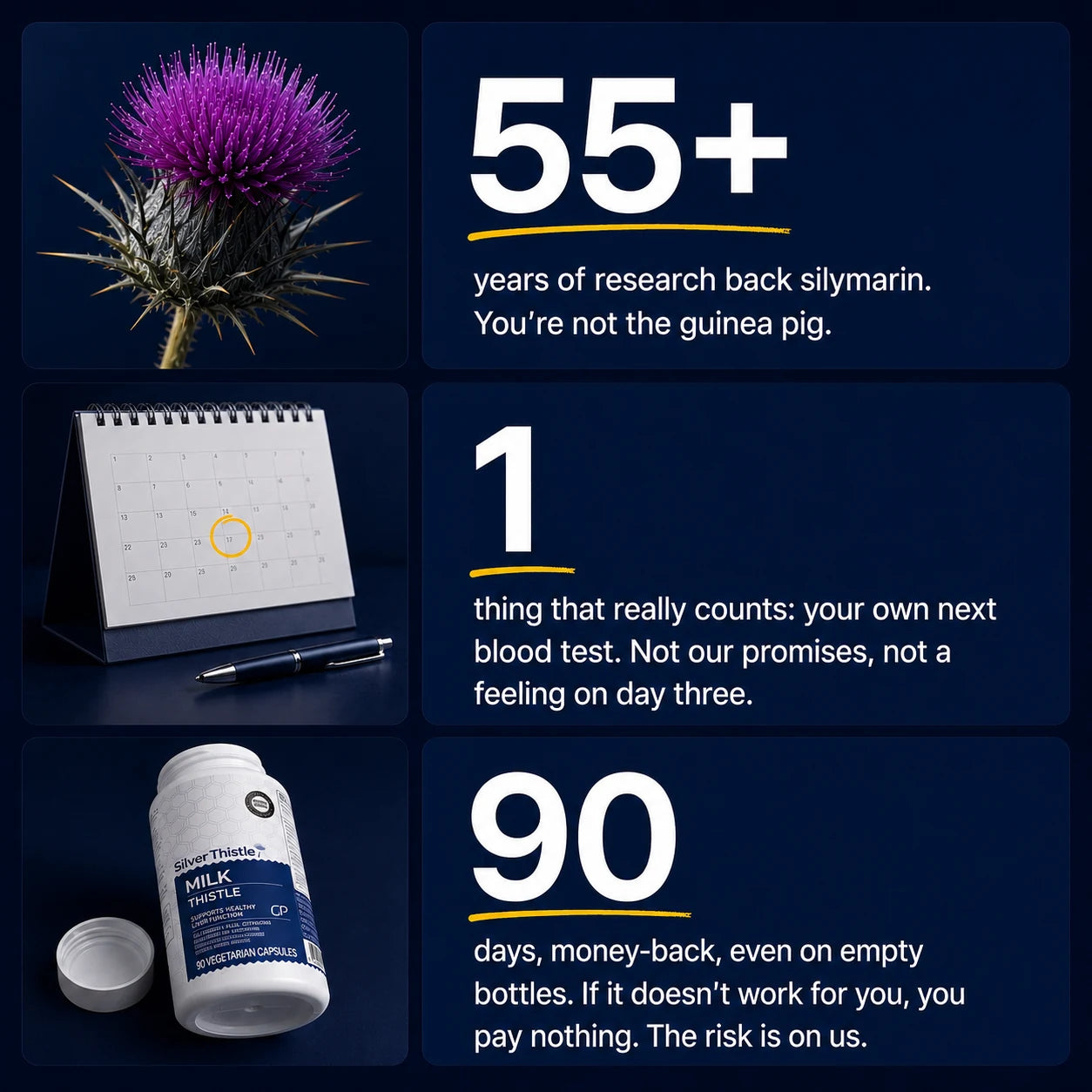55+ years of published research behind silymarin · 1 verdict that counts: your own next blood test · 90 days of cover